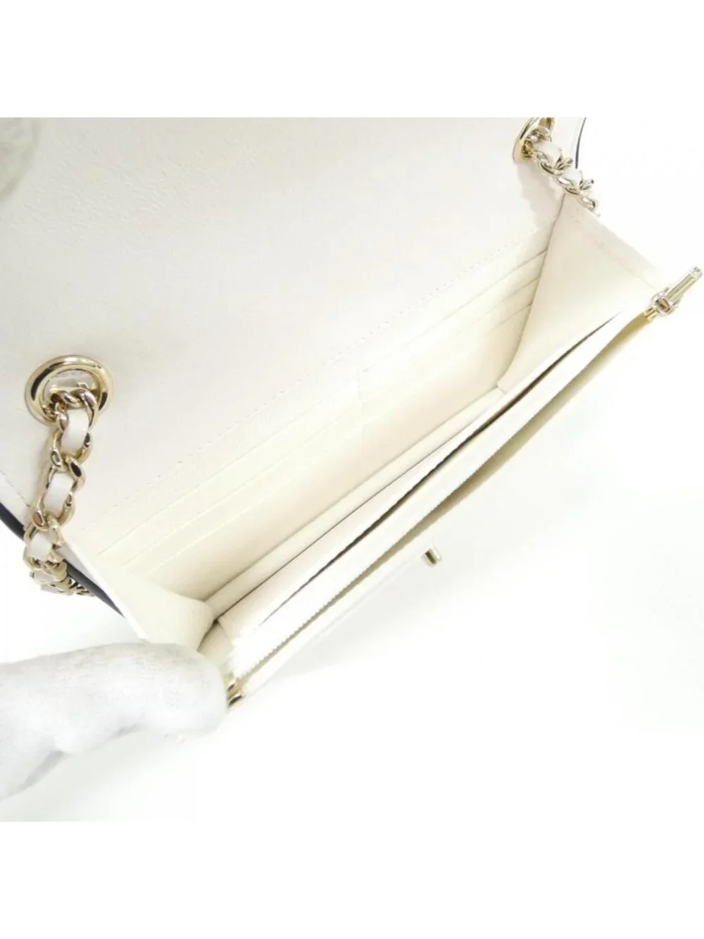 Chanel Chain Wallet Shoulder Bag